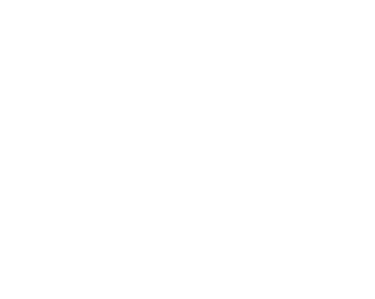 Surprise Shirts logo